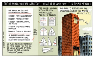 The NZ animal welfare strategy - what it is and how it is implemented