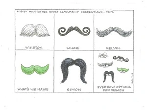 Power moustaches