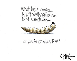 What lasts longer. A witchetty grub in a bird sanctuary or an Australian PM?
