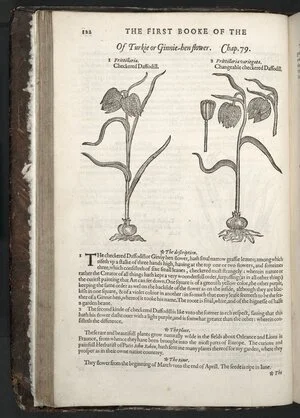 The herball or Generall historie of plantes. Gathered by Iohn Gerarde of London Master in Chirurgerie
