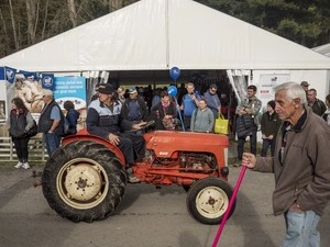 Trucks, utes, and tractors