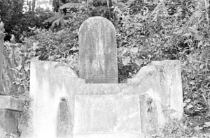 Grave of Brogan and the Brewer family, plot 5611, Bolton Street Cemetery