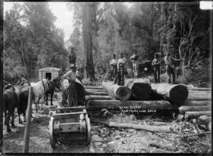 Timber workers with logs in a kauri forest on the North Island Main Trunk Line