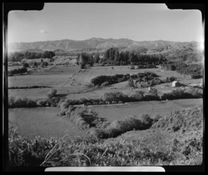 Takaka Dairying, Tasman Region