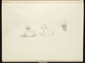 Hill, Mabel 1872-1956 :[Three dogs. ca 1950]