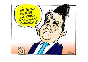 [Cracks appear in the head of Simon Bridges as he claims there are cracks in the Coalition government]