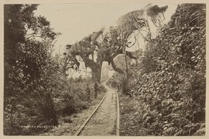 Greymouth and Kumara Tramway - Photograph taken by James Ring