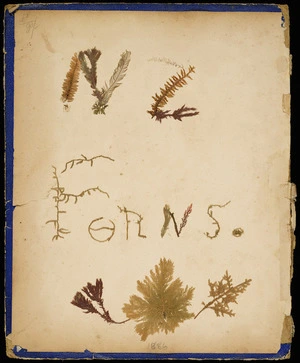 Page from scrapbook decorated with New Zealand ferns