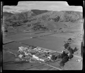 Richmond Freezing Works, Tasman Region