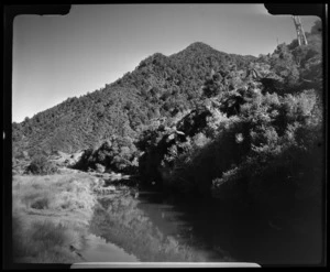 Golden Bay County, near Pakawau Inlet, Tasman Region