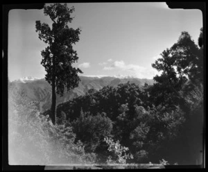 Photograph taken from Takaka Hill, Golden Bay County, Tasman Region