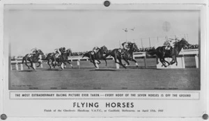 Horse racing at Caulfield, Melbourne