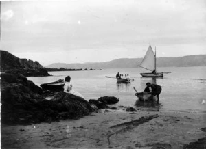 Scene at Scorching Bay, Wellington