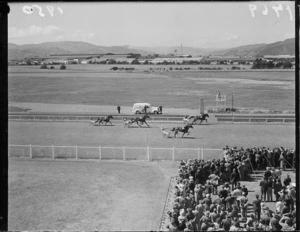 Trotting at Hutt Park