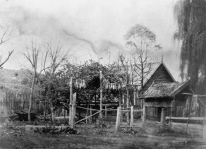 Dwelling at Kaiwhaike, with fish