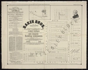 Wellesley Block, the property of Walter Turnbull Esq. ... : town acres 813-816, 818, 801-807, 809-812, 772, 773, 797-799, subdivided into 228 choice building allotments : frontage to Constable St., Waterloo Ave., Somerset  Ave., Picton Ave., Mein St., Corunna Ave., Douro Ave., Daniel St., Owen St., Blucher Ave., and Coromandel St.  / A.P. Mason, surveyor.