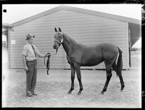 Horse at the yearling sales