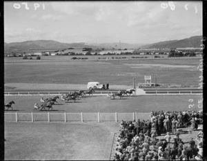 Trotting at Hutt Park