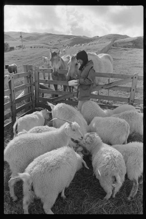 Woman feeding animals on the Beach family farm, Ohariu Valley, Wellington - Photograph taken by Don Scott