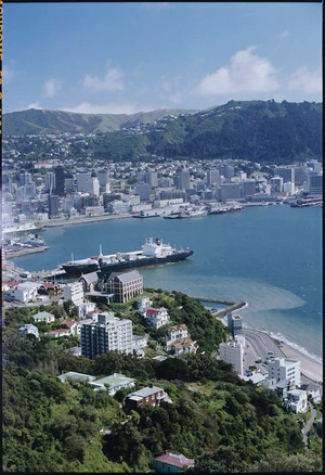 View of Wellington city