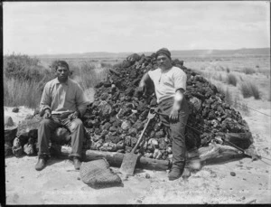 Maori gumdiggers showing their week's work, Northland region