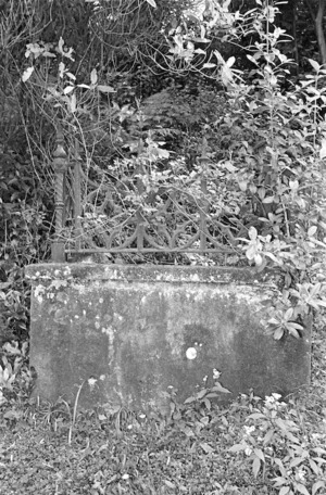 Unidentified grave site, Bolton Street Cemetery.