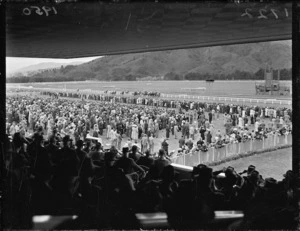 View of the Trentham races