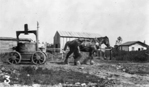 Clydesdale horse pulling a cart of molten iron, Onekaka