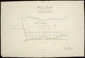 Rawson, Alfred Pearson, fl 1893-1912 :Sale plan shewing the subdivision of Mr. W. Cole's Estate, Homebush - Masterton [ms map]. A. P. Rawson, Authorised surveyor, Masterton, [undated]