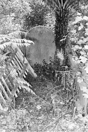 Grave of Ella Elizabeth N Davidson and the Griggs [Greig?] family, plot 42.B, Sydney Street Cemetery.