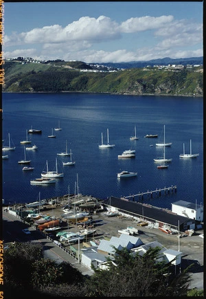 Evans Bay Marina, Wellington