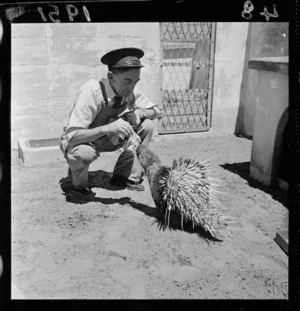 New animals at Wellington Zoo