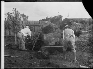 Removal of a rimu tree stump at Cheslyn Rise, Levin, Horowhenua - Photograph taken by Frank James Denton