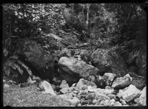 Ormond Quarry, probably Gisborne region