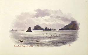Worsley, Charles Nathaniel, 1862-1923 :South End. Macquarie Island. [January 1902].