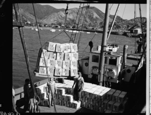 Loading boxes of apples on to a scow in Picton - Photograph taken by W Walker