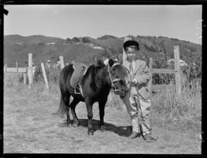 Agricultural and pastoral show at Maidstone Park, Upper Hutt