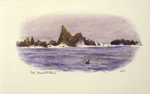 Worsley, Charles Nathaniel, 1862-1923 :Reef, Macquarie Island. [January 1902].