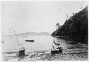 Roy Roy canoes at Ship Cove, Queen Charlotte Sound - Photograph taken by Arthur Thomas Bothamley