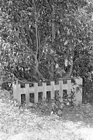 Grave of John Reay, plot 12.E, Sydney Street Cemetery.