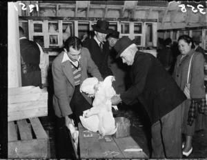 Poultry auction