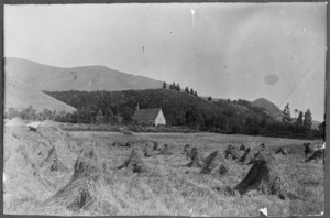 Church of the Holy Innocence in the first man-made forest planted at Mt Peel Station, South Canterbury, by John Barton Arundel Acland in 1859