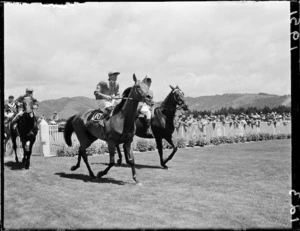 Horse and jockey at the Trentham races