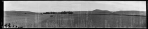 Rathillet, Totara Valley, Pleasant Point, 1925