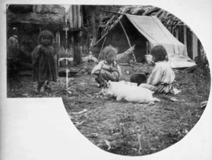 Ross, Malcolm, 1862-1930 :[Maori children and pig at a Kainga, Bay of Plenty Region]