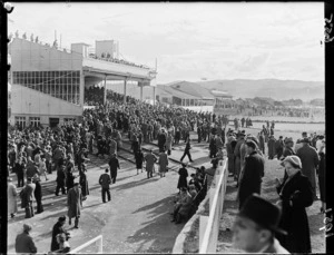 View of Hutt Park racecourse