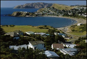 View of Titahi Bay