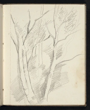 Hill, Mabel, 1872-1956 :[Trees. ca 1950?]