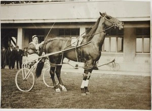 Jockey sitting in a trotting sulky poses with his horse