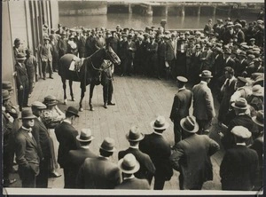 Crowd surrounding saddled horse on display on a wharf